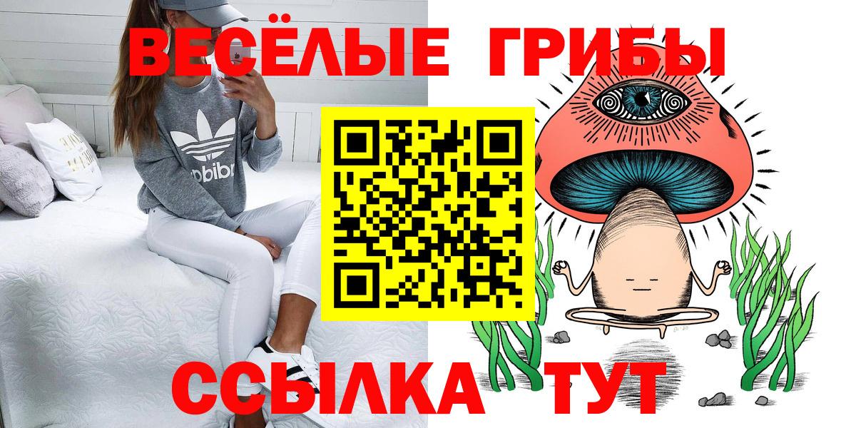 Кашира  Псилоцибиновые грибы ЛСД  Вход с VPN  Галлюциногенные грибы ЛСД 