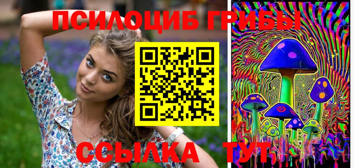 Галлюциногенные грибы MAGIC MUSHROOMS Кашира